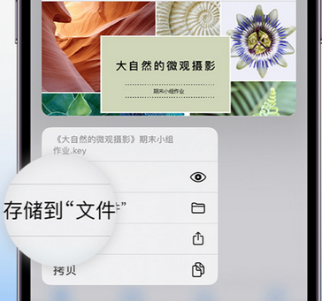 徽州apple维修中心分享iPhone文件应用中存储和找到下载文件