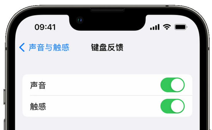 徽州苹果手机维修分享iPhone 14触感键盘使用方法 