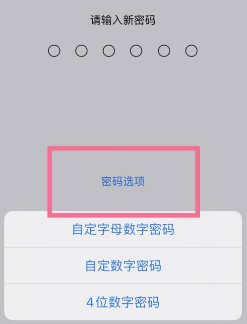 徽州苹果14维修分享iPhone 14plus设置密码的方法 