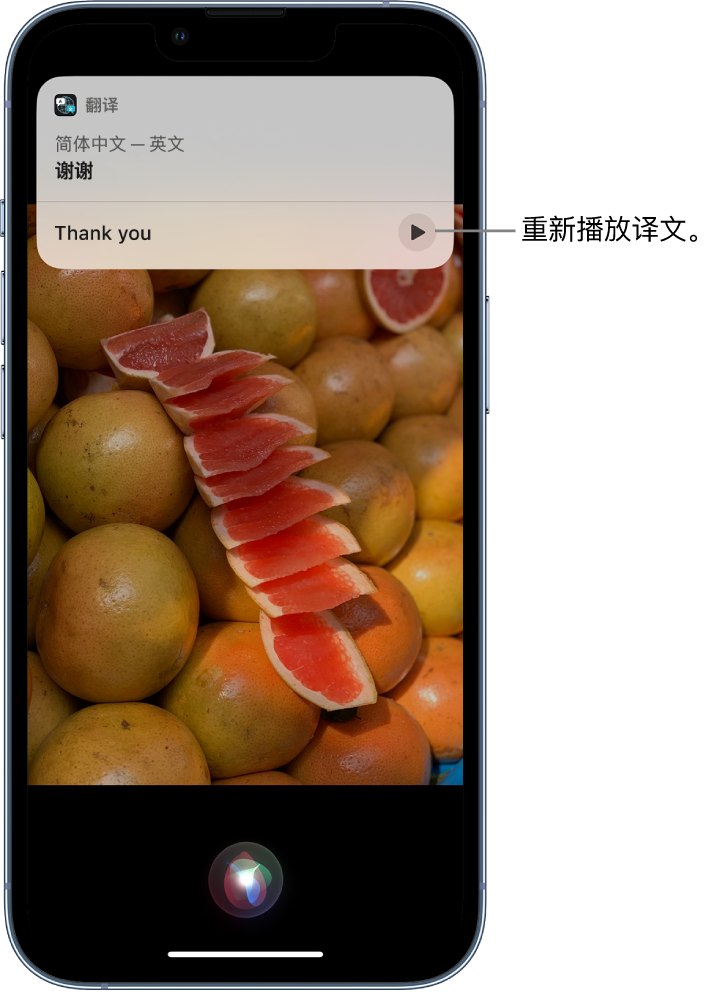 徽州苹果14维修分享 iPhone 14 机型中使用 Siri：了解 Siri 能帮你做什么 