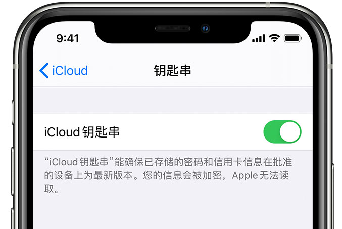 徽州苹果手机维修分享在 iPhone 上开启 iCloud 钥匙串之后会储存哪些信息 