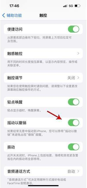 徽州苹果手机维修分享iPhone手机如何设置摇一摇删除文字 